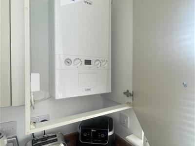 Picture 12